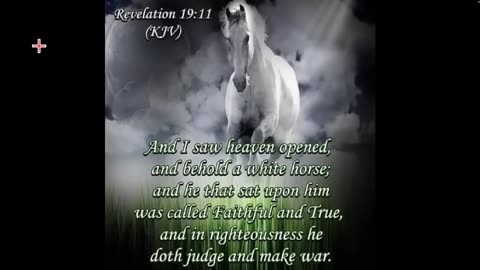 WHITEHORSE AFTERSHOCKS!!! JANUARY 1, 2026