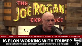 IS ELON MUSK STILL SECRETLY WORKING WITH PRESIDENT TRUMP? FILIBUSTER TO BE NUKED? MORE NEWS!