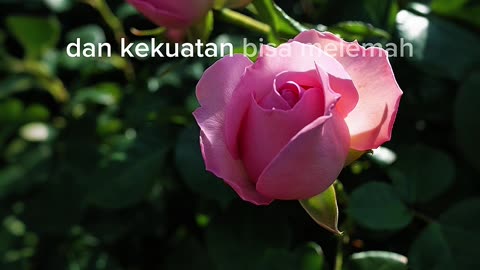 Never Be Arrogant | Valuable Life Lessons