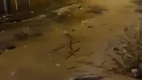 Surprising Storm Surge in Sicily