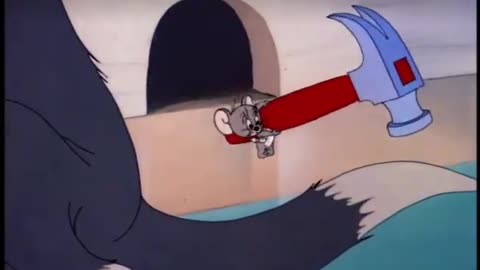 Tom And Jerry funny