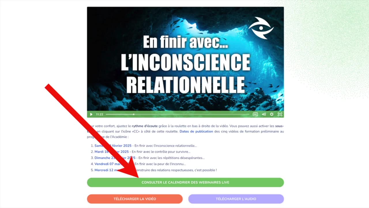 DLV74 - Du statut de victime impuissante à celui de maître en arts martiaux