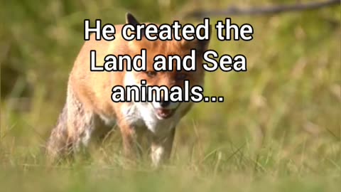 The Animals | P1 | The Astonishing Details of Creation Unveiled!