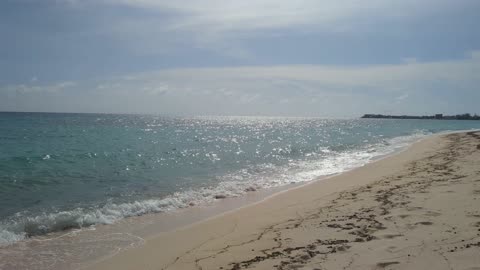Grand Cayman 7 Mile Beach short