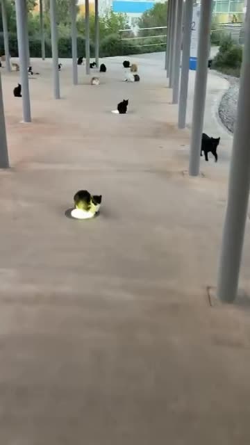 Heat sources in high demand 😊