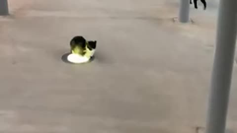 Heat sources in high demand 😊