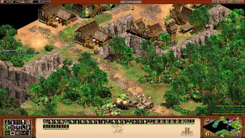 PC Longplay - Age of Empires II HD Edition - WW - 49-50