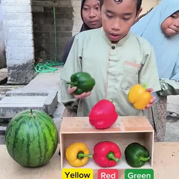 Menyesuaikan warna Paprika 🟡🔴🟢 #shorts