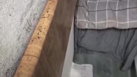 Estudiante muestra las minihabitaciones más baratas de China