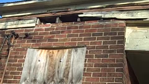 COURVILLE FOR TIM,,,,,THESHEASHOW.COM.AVI