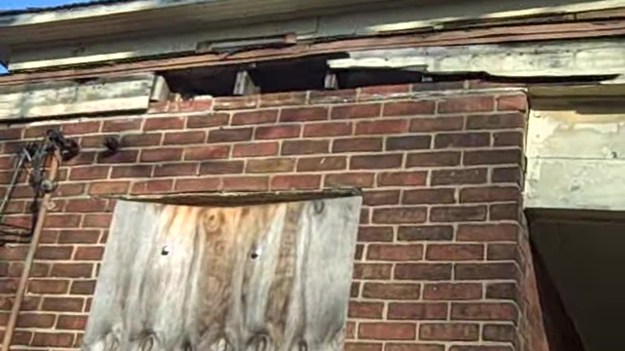 COURVILLE FOR TIM,,,,,THESHEASHOW.COM.AVI