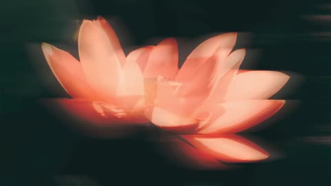 Dan Caine - Becoming (2025)