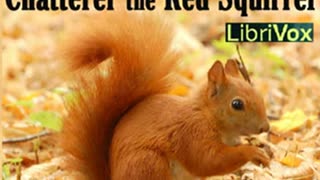 The Adventures of Chatterer the Red Squirrel by Thornton W. BURGESS _ Full Audio Book