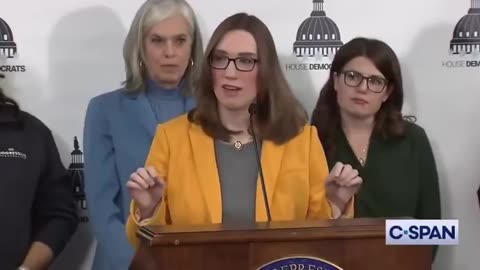 Congressman Sarah McBride says Trump supporters are “weird and bizarre”..