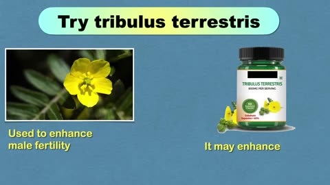 Boost Your Confidence and Last Longer: The Best Testosterone Supplement for Erectile Dysfunction
