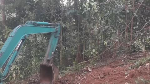 Unseen Heroes: 60 Seconds of American Excavator Mountain Rescue!