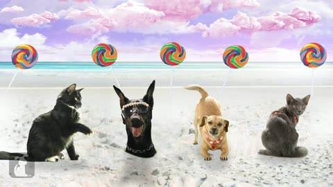 Katy Perry – Pawlifornia Gurls (ft. Snoop Dogg) 🐾