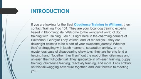Best Obedience Training in Williams