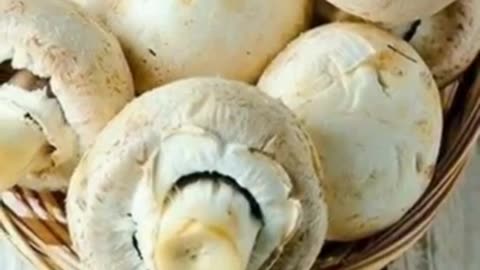 Four amazing benefits of eating mushrooms