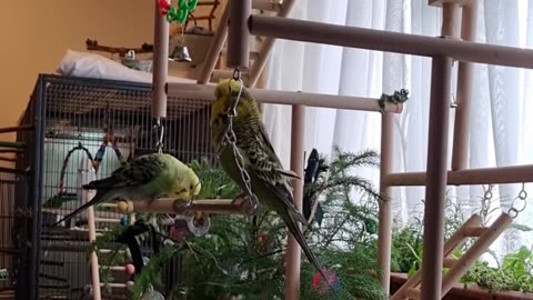 Hello Hector, My Name is Hollian