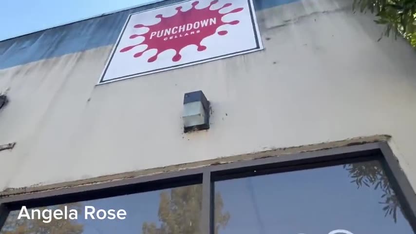 Visit to Ilhan Omar's 'Winery' Couldn't Find Any Grapes