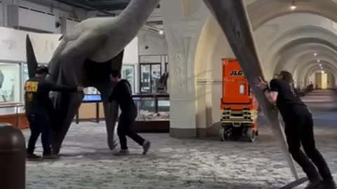😮✨ See How Big Quetzalcoatlus, the Largest Flying Creature, Really Was! | FeedMyCuriosity
