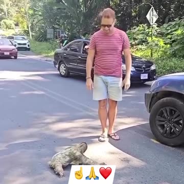 We can't help everyone, but everyone can help someone.