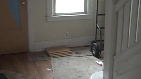 6 unit in southwest detroit 4 sale part 3, THE SHEA SHOW