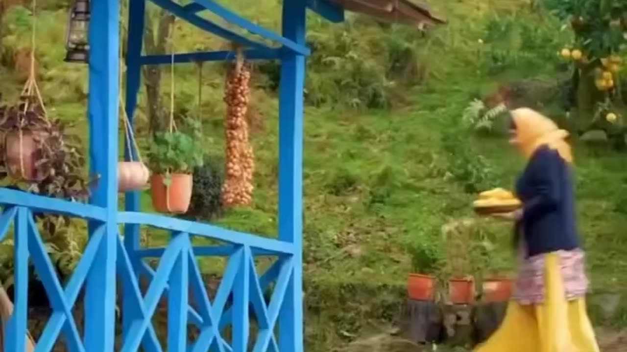 🍊