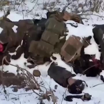 Ukraine war combat footage 2/20/25