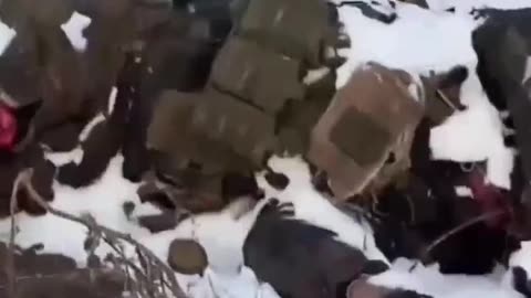 Ukraine war combat footage 2/20/25