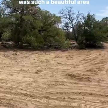 We still gonna make it happen! 🔥 | USA Containers