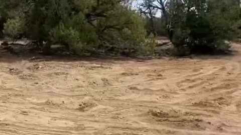 We still gonna make it happen! 🔥 | USA Containers