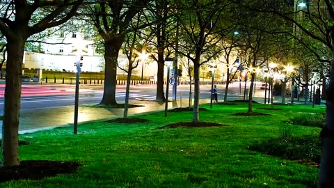 Five Creepy Facts About the PizzaGate Street in DC.