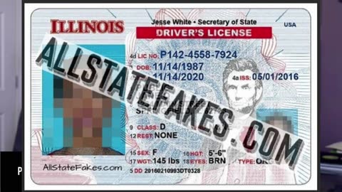 THE PAT WHITE SHOW discusses fake ID's and CDL's in America