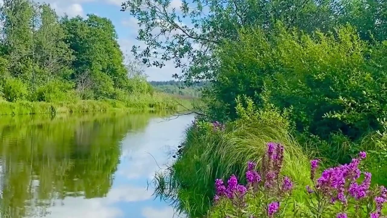 "River Flows, Serenity: Relaxation Meditation with Nature Sounds"