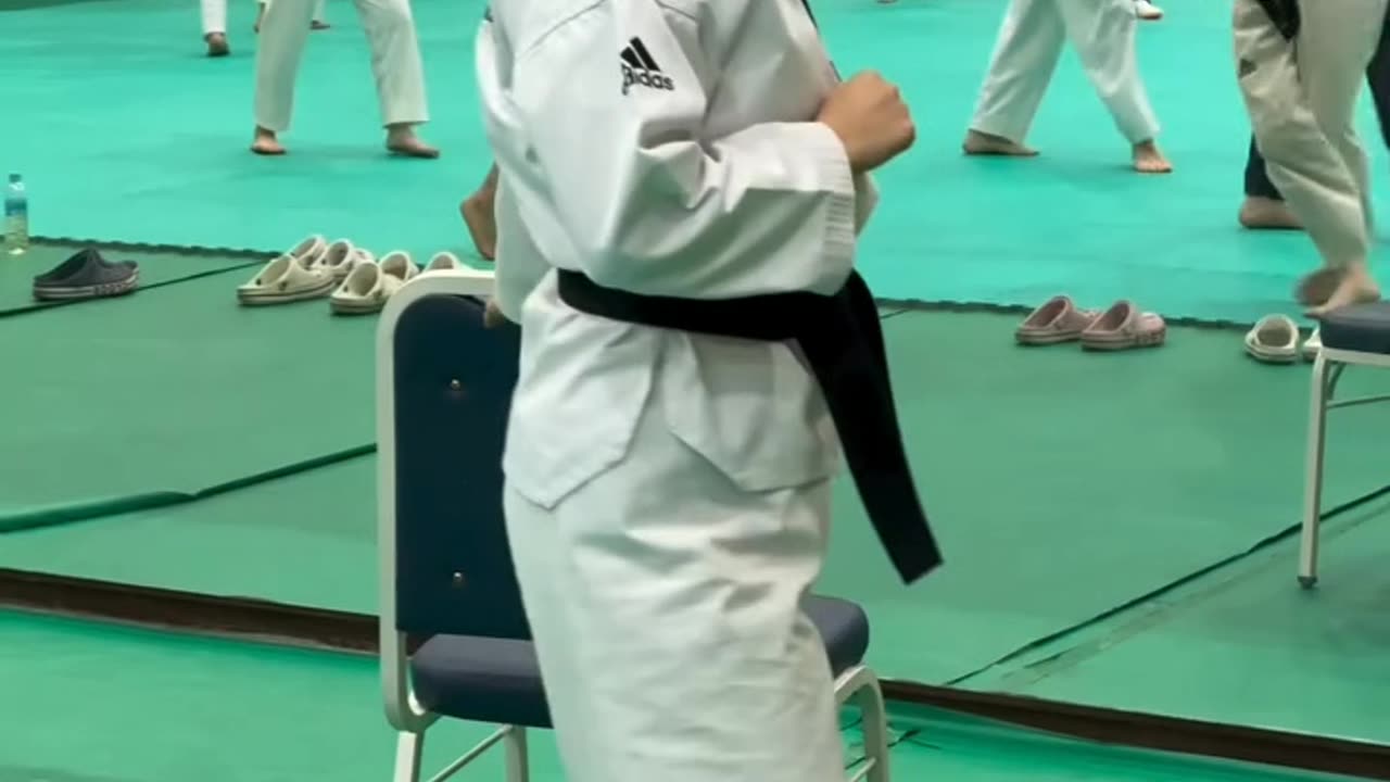 Taekwondo 🥋