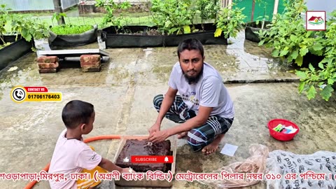 কোকোপিট ব্লক ভিজালে কত সময়ের মধ্যে গুড়া হয় — দেখুন বাস্তব প্রমাণ 🌱