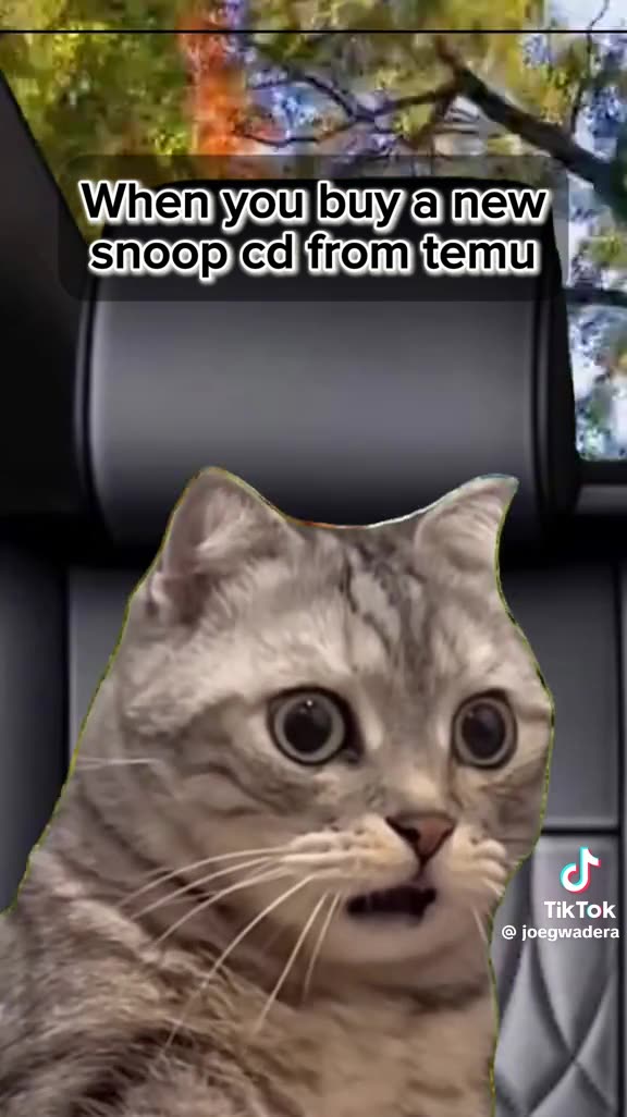 When you buy 😜a new snoop cd from Temu