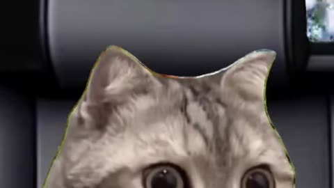 When you buy 😜a new snoop cd from Temu