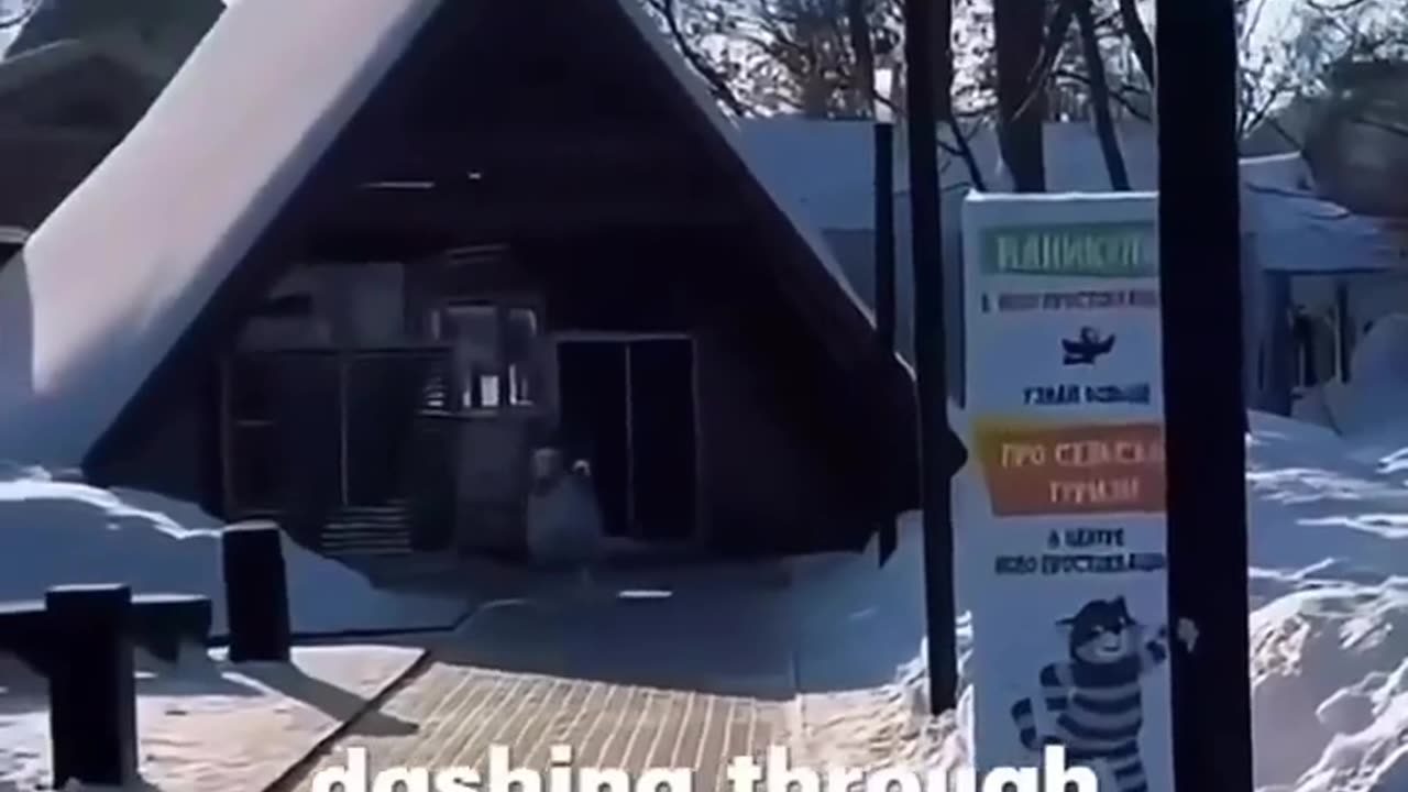 🤣🍑 Wait For The Hilarious Ram Attack! | FunFM