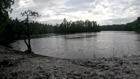 ASMR Raining At The Lake