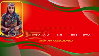 Qophii Ergaan Jaallanii ONM-ABO Sadaasa 12-2025 itti dhiyaadhaa!