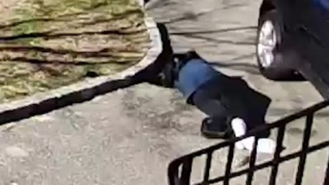 PSA women are stupid