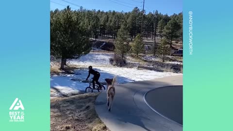 Extreme Skills Best Of 2025 (So Far)