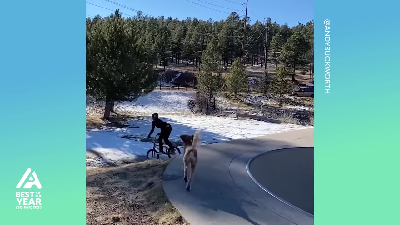 Extreme Skills Best Of 2025 (So Far)