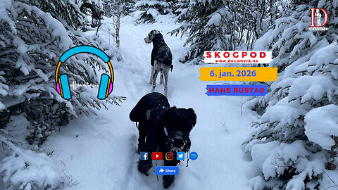 Skogpod 6. januar 2026
