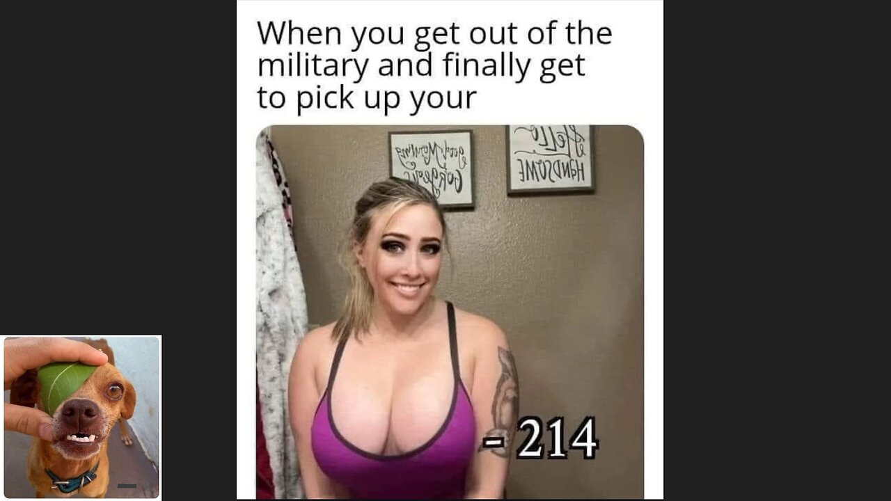 Memes That Will 99.0363% Make You Laugh. (e587) (Groomflix special)