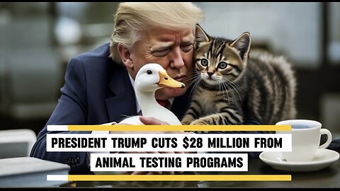 🚨The Trump Adm Have Cut Down Over $28 Millions Dollars Total Animals Testing Programs! 😍 #ASL #deaf