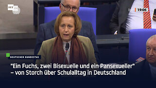 "Ein Fuchs, zwei Bisexuelle und ein Pansexueller" – von Storch über Schulalltag in Deutschland